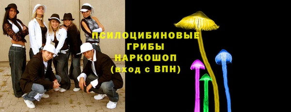 молекула духа Баксан