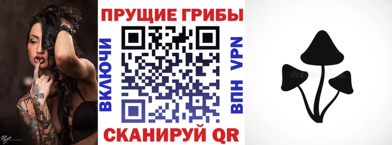 Галлюциногенные грибы GOLDEN TEACHER  Семилуки 